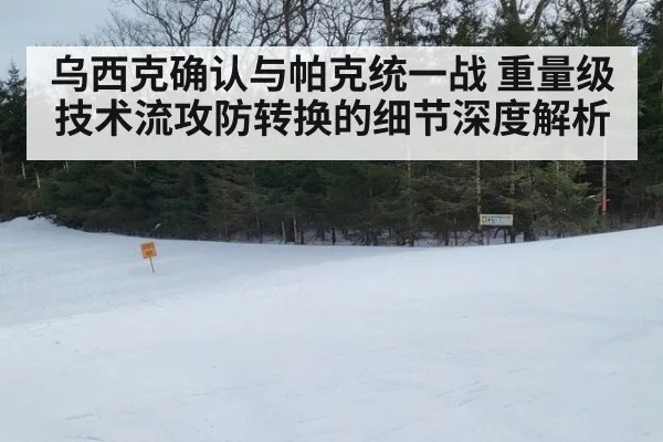 乌西克确认与帕克统一战 重量级技术流攻防转换的细节深度解析